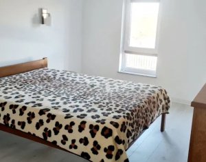Ház 4 szobák kiadó on Cluj-napoca, Zóna Borhanci