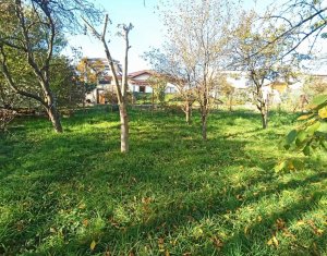 Telek eladó on Cluj-napoca, Zóna Dambul Rotund