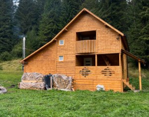 Maison 3 chambres à vendre dans Poiana Horea