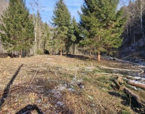 Teren Intravilan de Vânzare – 3279 MP – Coada Lacului Tarnița