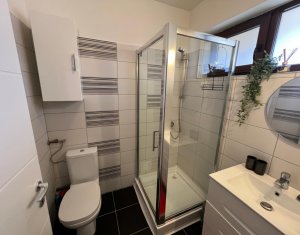 Maison 5 chambres à louer dans Floresti
