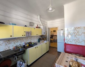 Maison 8 chambres à vendre dans Cluj-napoca, zone Gruia
