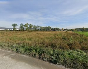 , 5000m2 on Cluj-napoca, Zóna Sopor