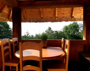 Casa rustica, exclusivista, 5 camere, 170 mp utili, 550 mp teren, Salicea