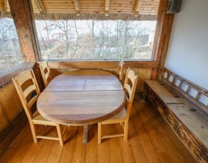 Casa rustica, exclusivista, 5 camere, 170 mp utili, 550 mp teren, Salicea