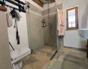 Casa rustica, exclusivista, 5 camere, 170 mp utili, 550 mp teren, Salicea