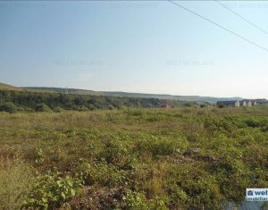 Terrain à vendre dans Floresti