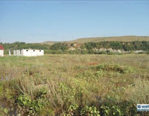 Terrain à vendre dans Floresti