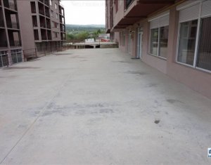 Espace Commercial à vendre dans Cluj-napoca, zone Borhanci