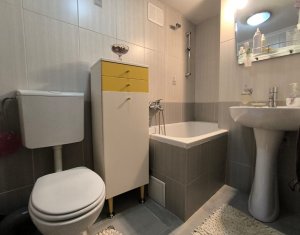 Oportunitate investitie, 2 case, 13 camere, Andrei Muresanu