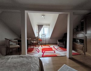 Oportunitate investitie, 2 case, 13 camere, Andrei Muresanu