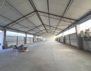 Espace Industriel à louer dans Cluj-napoca, zone Someseni