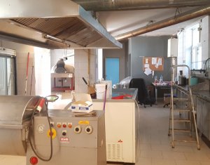 Üzlethelyiség kiadó, 200m2 on Cluj-napoca