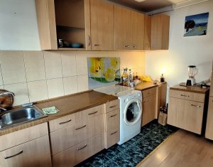 Appartement 1 chambres à louer dans Cluj-napoca, zone Marasti