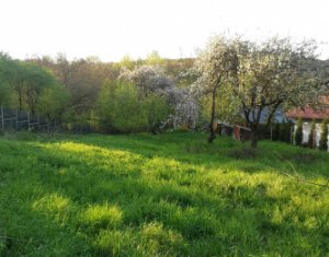 Maison 2 chambres à vendre dans Comsesti