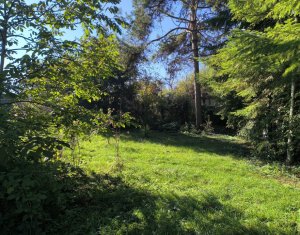 Telek eladó on Cluj-napoca, Zóna Grigorescu
