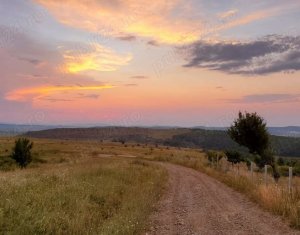, 584m2 on Chinteni