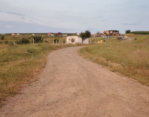 Telek eladó on Chinteni
