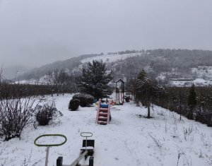 Szállodák/Panziók eladó on Caseiu