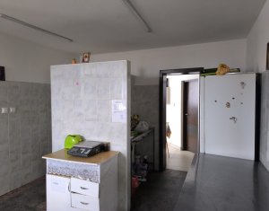 Szállodák/Panziók eladó on Caseiu