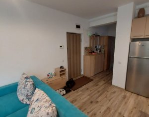 Lakás 2 szobák kiadó on Cluj-napoca, Zóna Borhanci