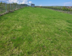 , 2000m2 on Salicea