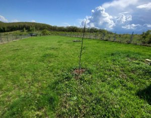 Telek eladó on Salicea