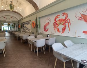 Espace Commercial à vendre dans Cluj-napoca, zone Centru