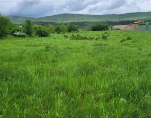 Terrain à vendre dans Floresti