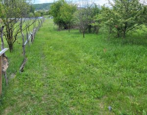 , 1845m2 on Cluj-napoca, Zóna Someseni