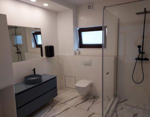 Ház 3 szobák kiadó on Cluj-napoca, Zóna Gheorgheni