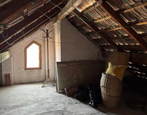 Casa individuala retrasa, Andrei Muresanu