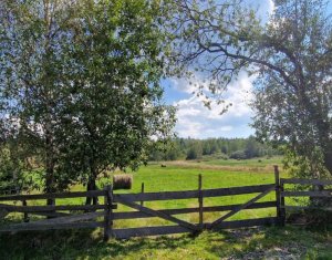 , 4500m2 on Dealu Negru