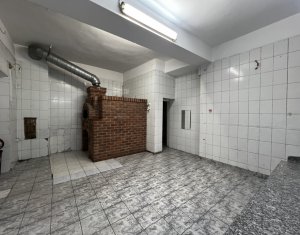 Espace Commercial à louer dans Cluj-napoca, zone Centru