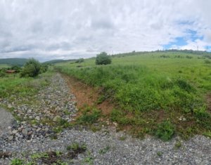 Terenuri de vis în Salicea – Investiția perfectă sau locul ideal pentru casa ta.