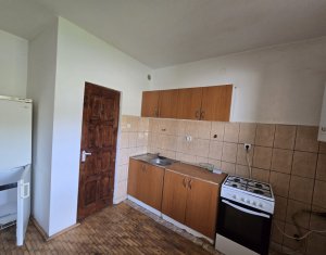 Appartement 4 chambres à louer dans Cluj-napoca, zone Iris
