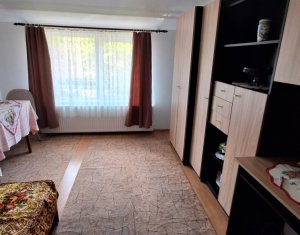 Appartement 1 chambres à louer dans Cluj-napoca, zone Gruia