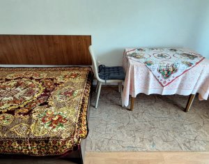 Appartement 1 chambres à louer dans Cluj-napoca, zone Gruia
