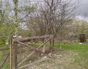 Teren constructii , drum de acces, Salicea
