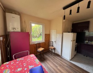 Maison 3 chambres à louer dans Cluj-napoca, zone Grigorescu