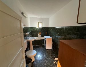 Maison 3 chambres à louer dans Cluj-napoca, zone Grigorescu