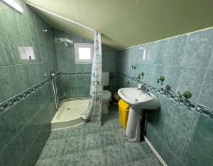 Maison 3 chambres à louer dans Cluj-napoca, zone Grigorescu