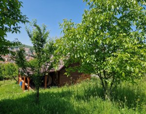 Terenuri intravilane de vanzare – cartier Zorilor, zona Wings, Cluj-Napoca
