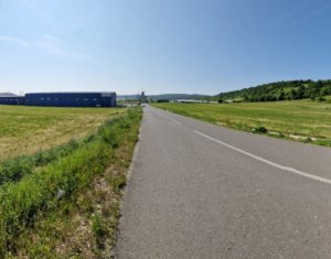 , 5000m2 on Cluj-napoca