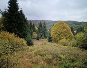 Terrain à vendre dans Belis