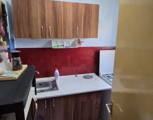 Appartement 1 chambres à vendre dans Cluj-napoca, zone Marasti