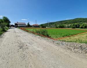 , 2006m2 in Popesti