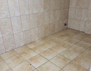 Üzlethelyiség kiadó on Floresti
