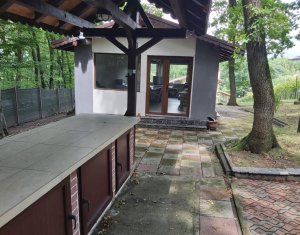 Maison 5 chambres à vendre dans Cluj-napoca, zone Faget