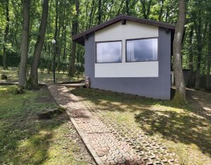 Maison 5 chambres à vendre dans Cluj-napoca, zone Faget